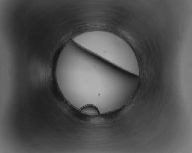 X0000099570258200805160731