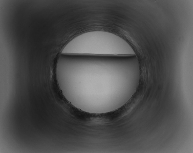 X0000099570259200805160731