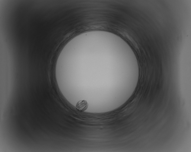 X0000099570260200805160731