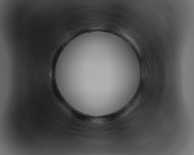 X0000099570261200805160731