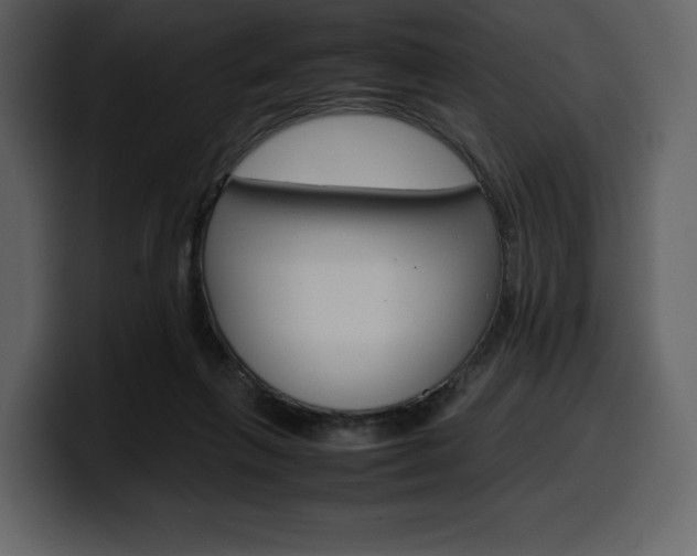 X0000099570263200805160731