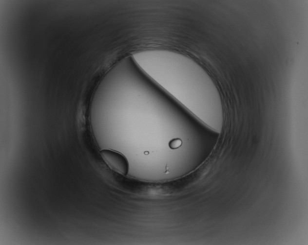 X0000099570264200805160731