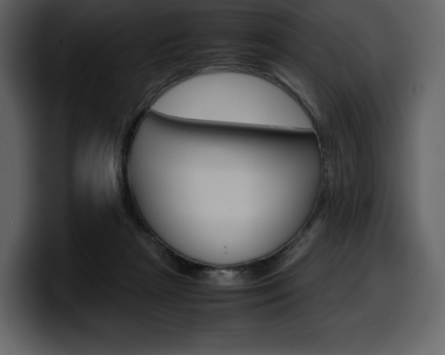 X0000099570265200805160731
