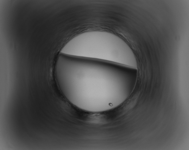 X0000099570269200805160732