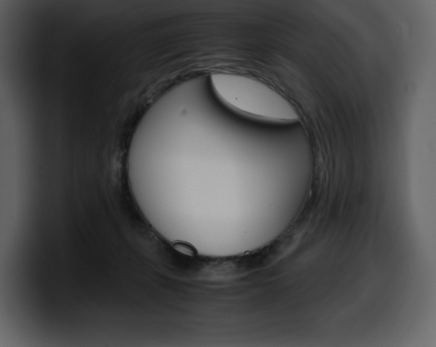 X0000099570271200805160732