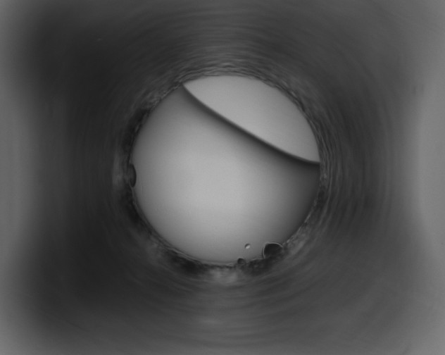 X0000099570272200805160732