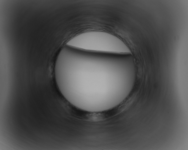 X0000099570273200805160732