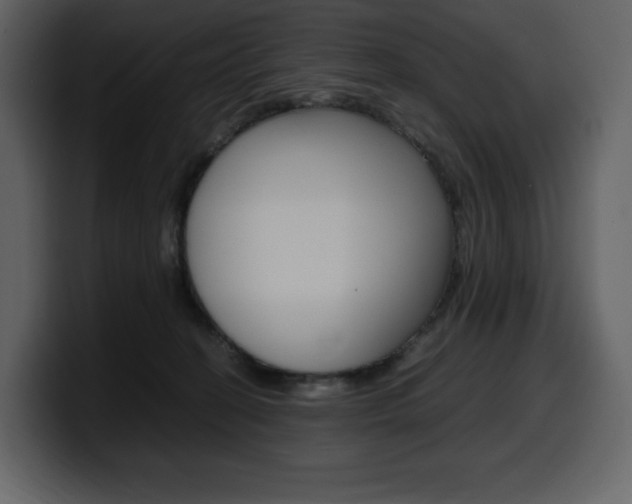 X0000099570274200805160732