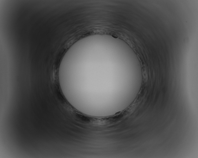 X0000099570276200805160732