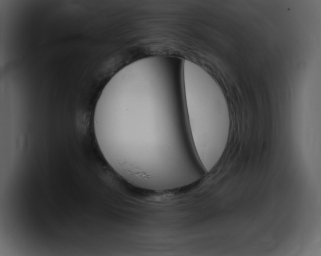 X0000099570278200805160732