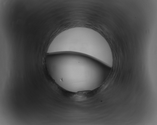 X0000099570280200805160732
