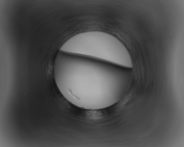 X0000099570281200805160732