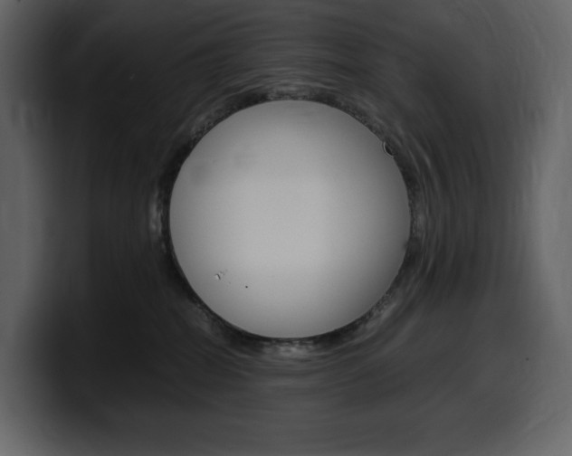 X0000099570282200805160732
