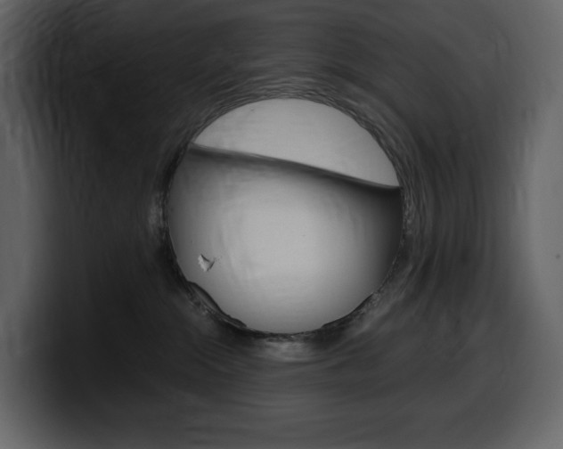X0000099570284200805160732