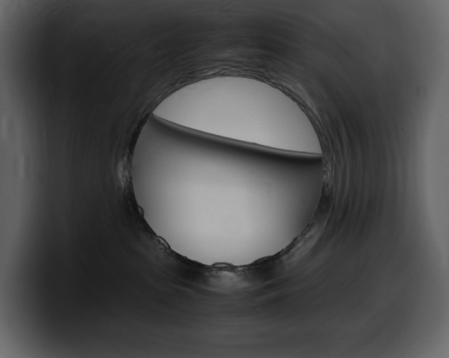 X0000099570285200805160732