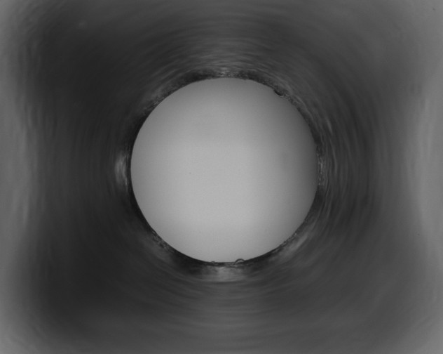 X0000099570286200805160732
