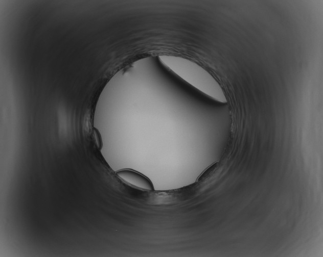 X0000099570287200805160732