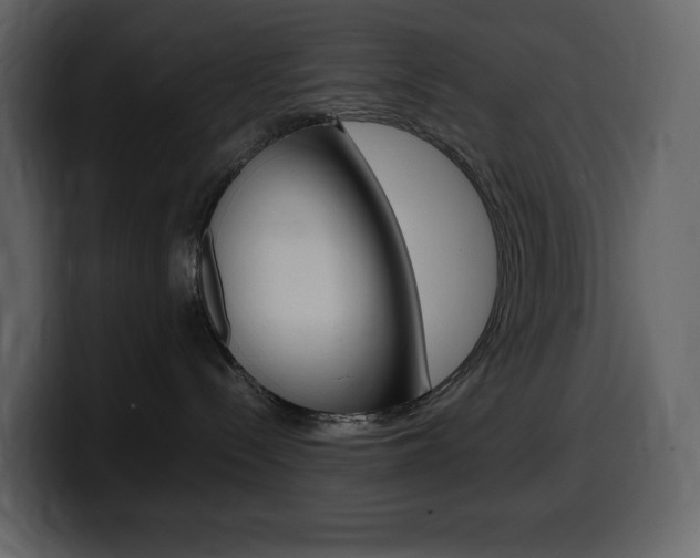 X0000099570288200805160732