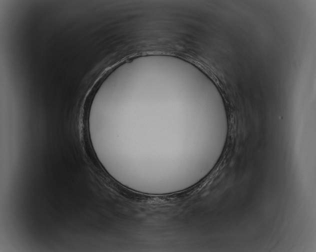 X0000099570290200805160731