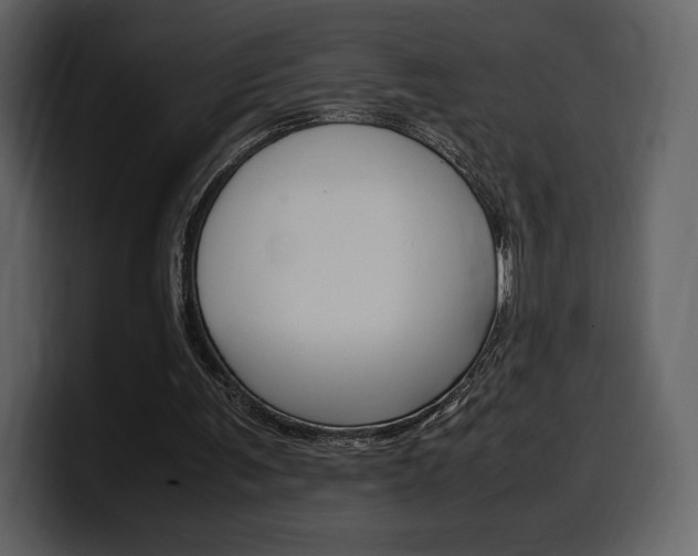 X0000099570291200805160731