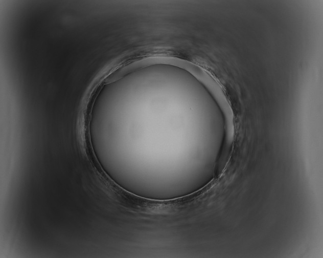 X0000099570293200805160731