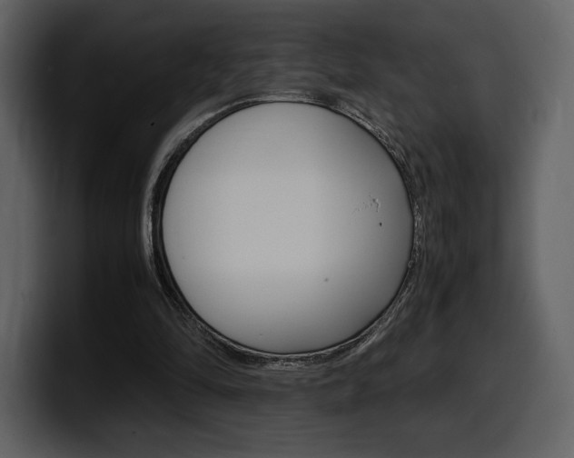 X0000099570294200805160731