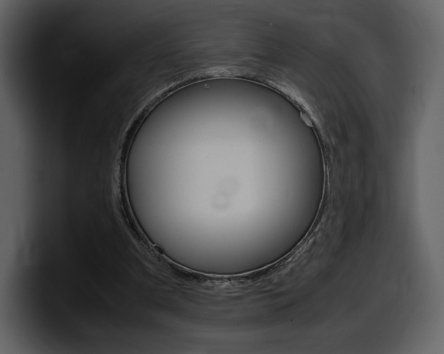 X0000099570297200805160731