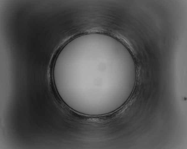 X0000099570298200805160731