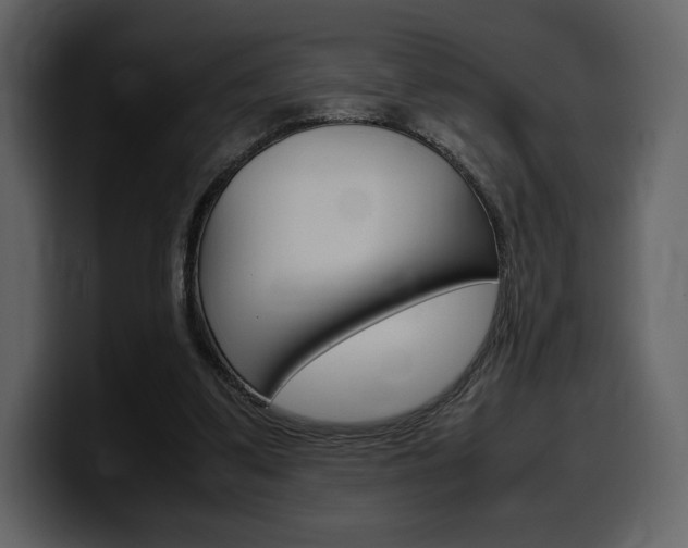X0000099570299200805160731