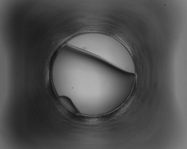 X0000099570301200805160731
