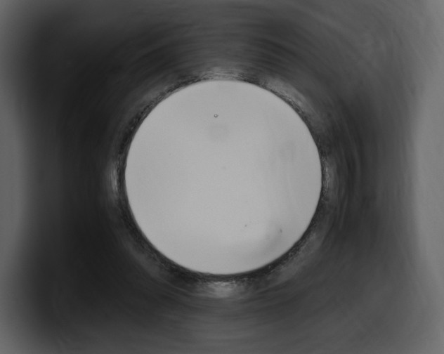 X0000099570302200805160731