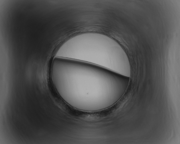 X0000099570303200805160731