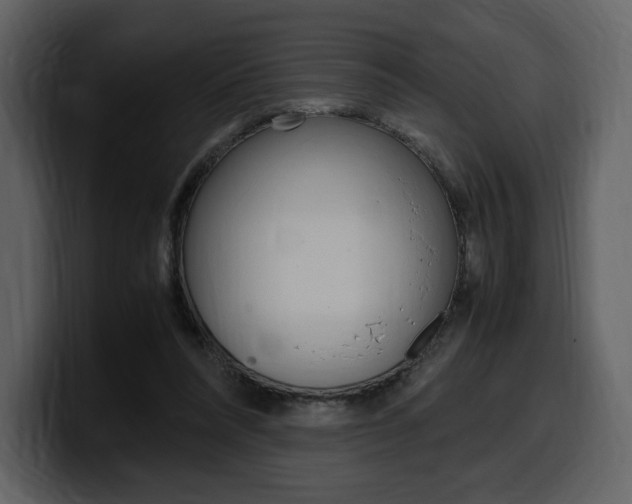 X0000099570304200805160731