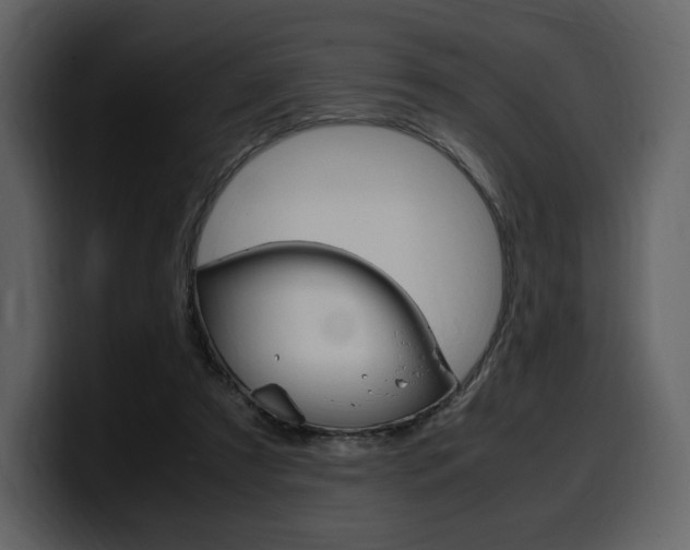 X0000099570305200805160731