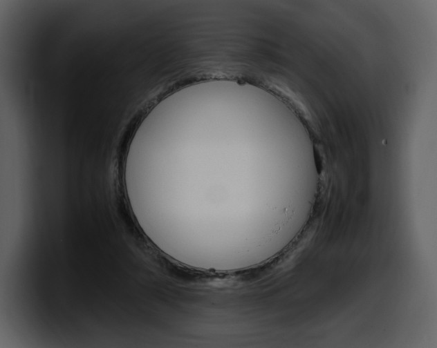 X0000099570306200805160731
