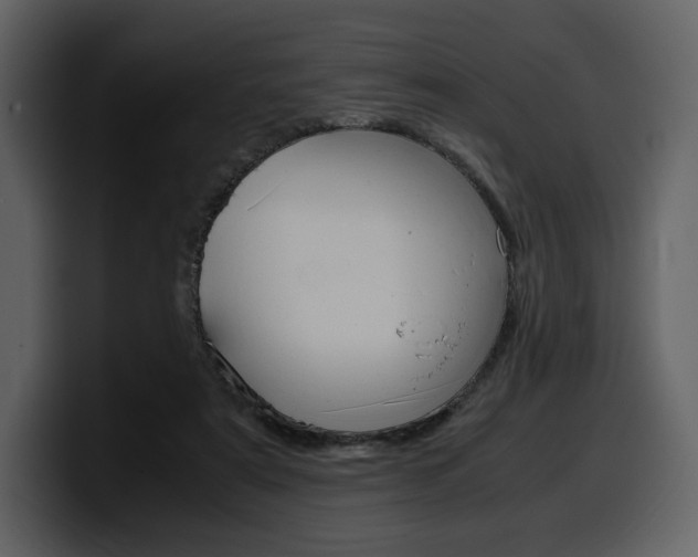 X0000099570307200805160731