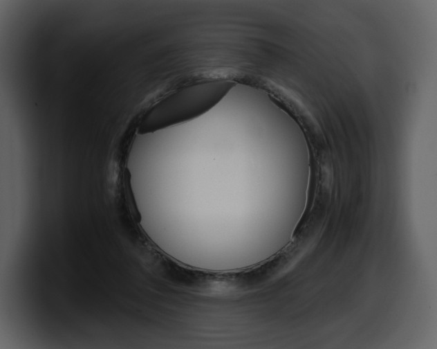 X0000099570308200805160731