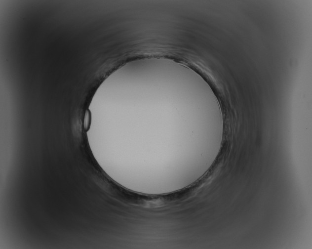 X0000099570309200805160731