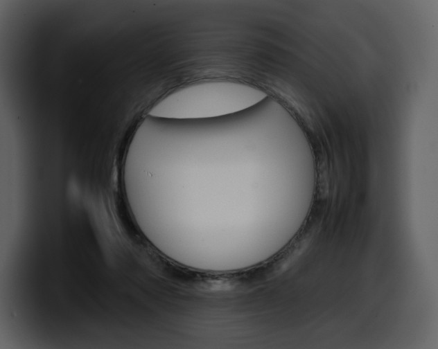 X0000099570310200805160731