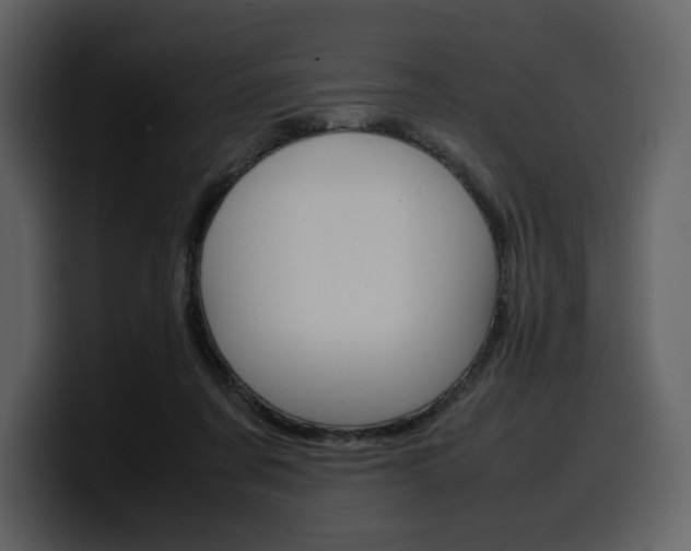 X0000099570311200805160731