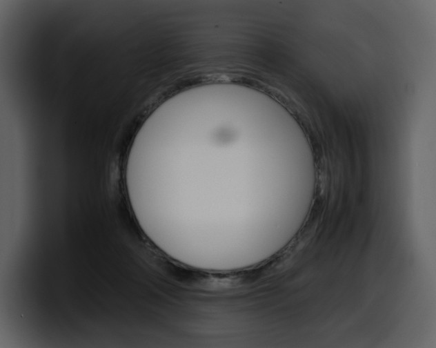X0000099570314200805160731