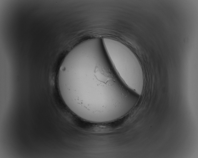 X0000099570315200805160731