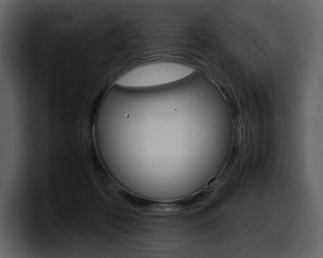 X0000099570316200805160731