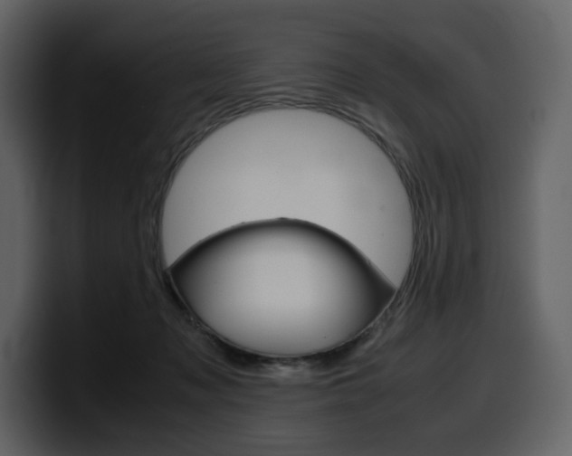 X0000099570317200805160731