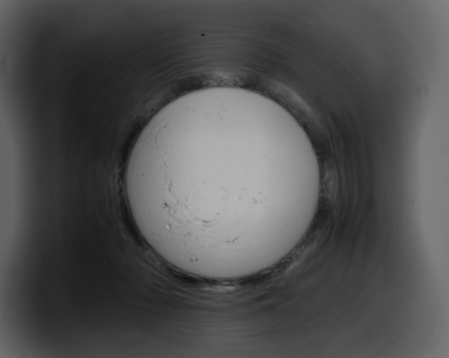 X0000099570318200805160731