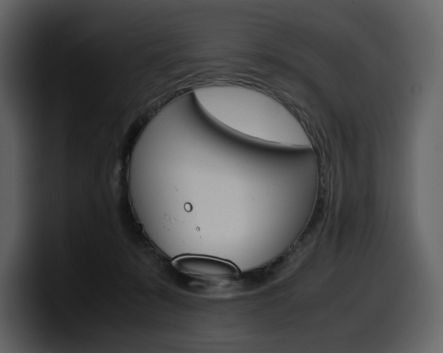 X0000099570319200805160731