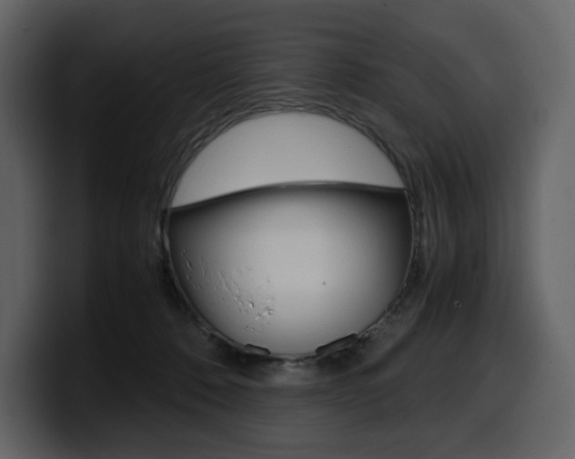 X0000099570320200805160731