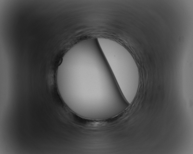 X0000099570323200805160731