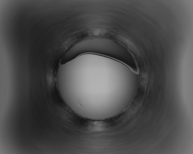 X0000099570324200805160731