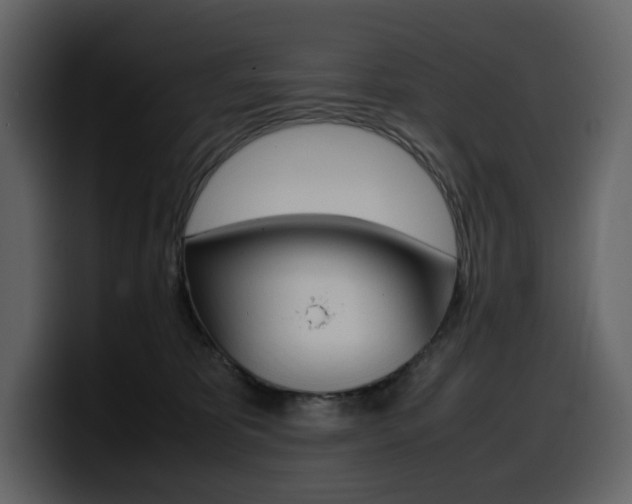 X0000099570325200805160731